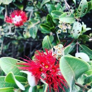 Meet your Posher, Yuko